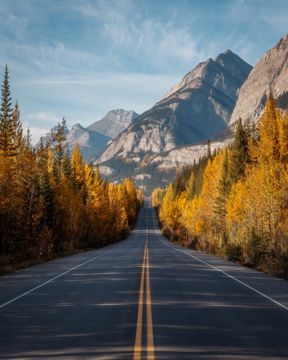 danschyk's tweet image. Icefields Parkway, Banff