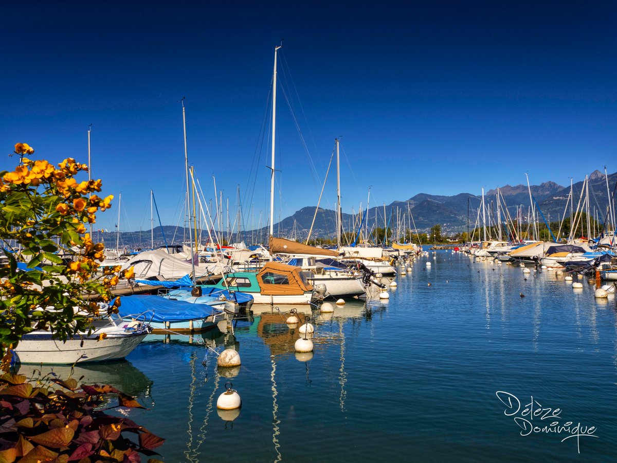 DelezeD's tweet image. Joli petit port, Le Bouveret ⛵️💙⛵️🇨🇭

#suisse #switzerland #leman @valaiswallis @MySwitzerland_e