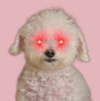 People catching on $Grace coded!

E8Tg365aywSsxHvBJPLit7nro19G298Ve8niuBQSpump