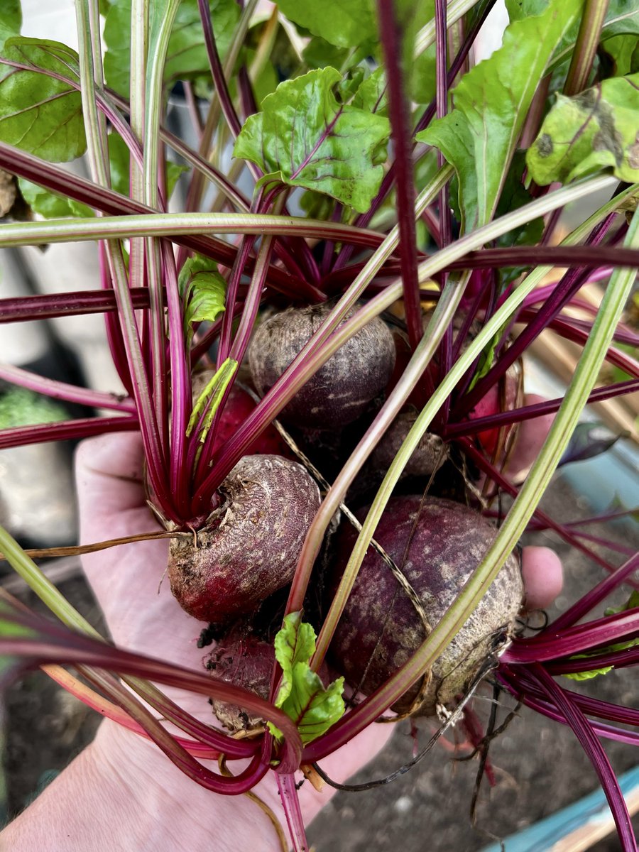 Chris Holmes tweet media