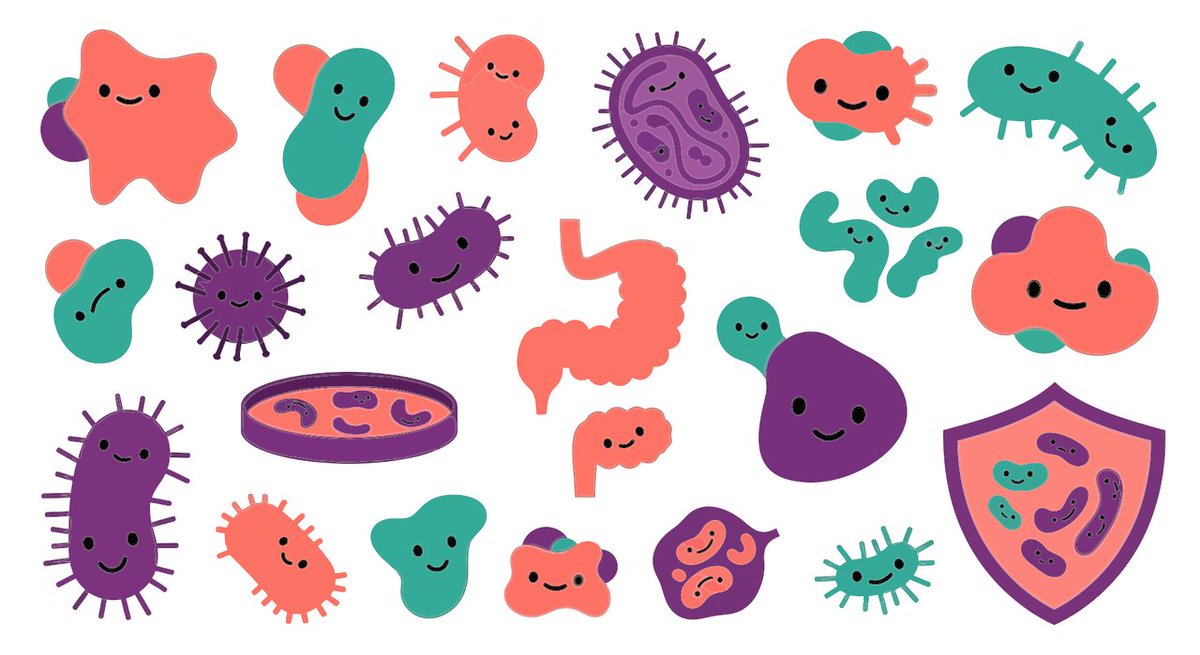 .<a href="/InesRivPa/">InesR</a>: "No todos los probióticos son iguales. Debemos usar cepas con respaldo, ajustarnos al paciente concreto y monitorizar resultados, sin olvidar que la dieta, el estilo de vida y la higiene intestinal son parte esencial de la estrategia". 
<a href="/gastroprimaria/">GastroprimariaSemergen</a> #SEMERGEN25