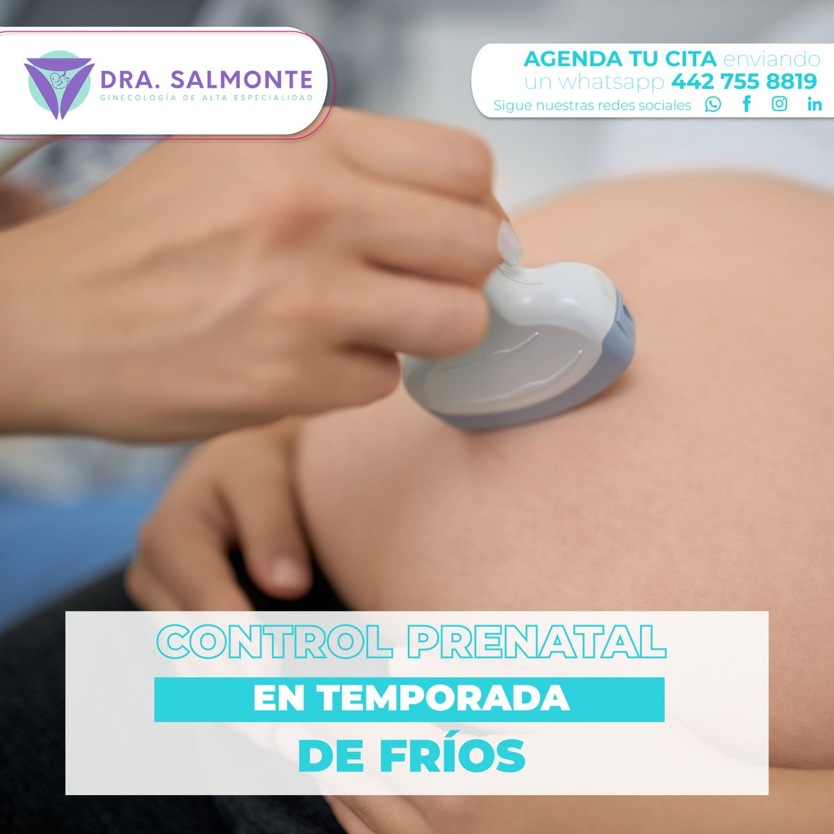 DraSalmonte's tweet image. 🤰 El frío llega, pero no descuides tu control prenatal.

Cuidarte es cuidar la vida que llevas dentro 💕
📲👉 wa.me/+524427558819
🌐drasalmonte.com

#ControlPrenatal #MaternidadFeliz #SaludFemenina