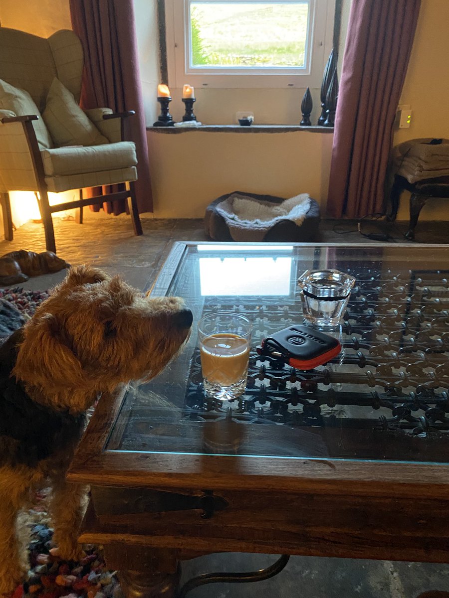 The HK has bought the butler a limited edition Baileys Terrys chocolate Orange 🍊 flavour that arrived this morning. 
He did not wait long to try it!
I was interested to see as I get to pre wash the glass. 

We both agreed it is scrumptious! The present tense will not last long.