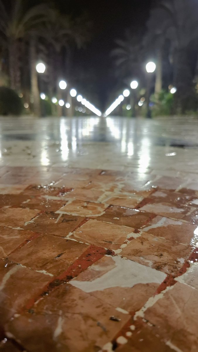 AntonioEfe73's tweet photo. feliz lunes...
#Alicante #Explanada https://t.co/B5ccSORZ1k