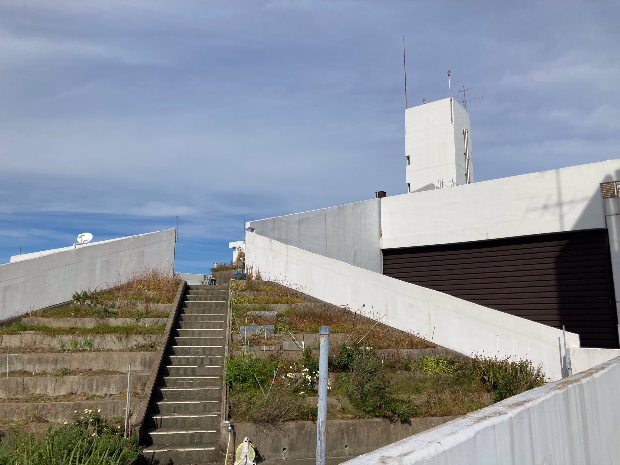 いもりんページ いもりん (@imorin7684) / X