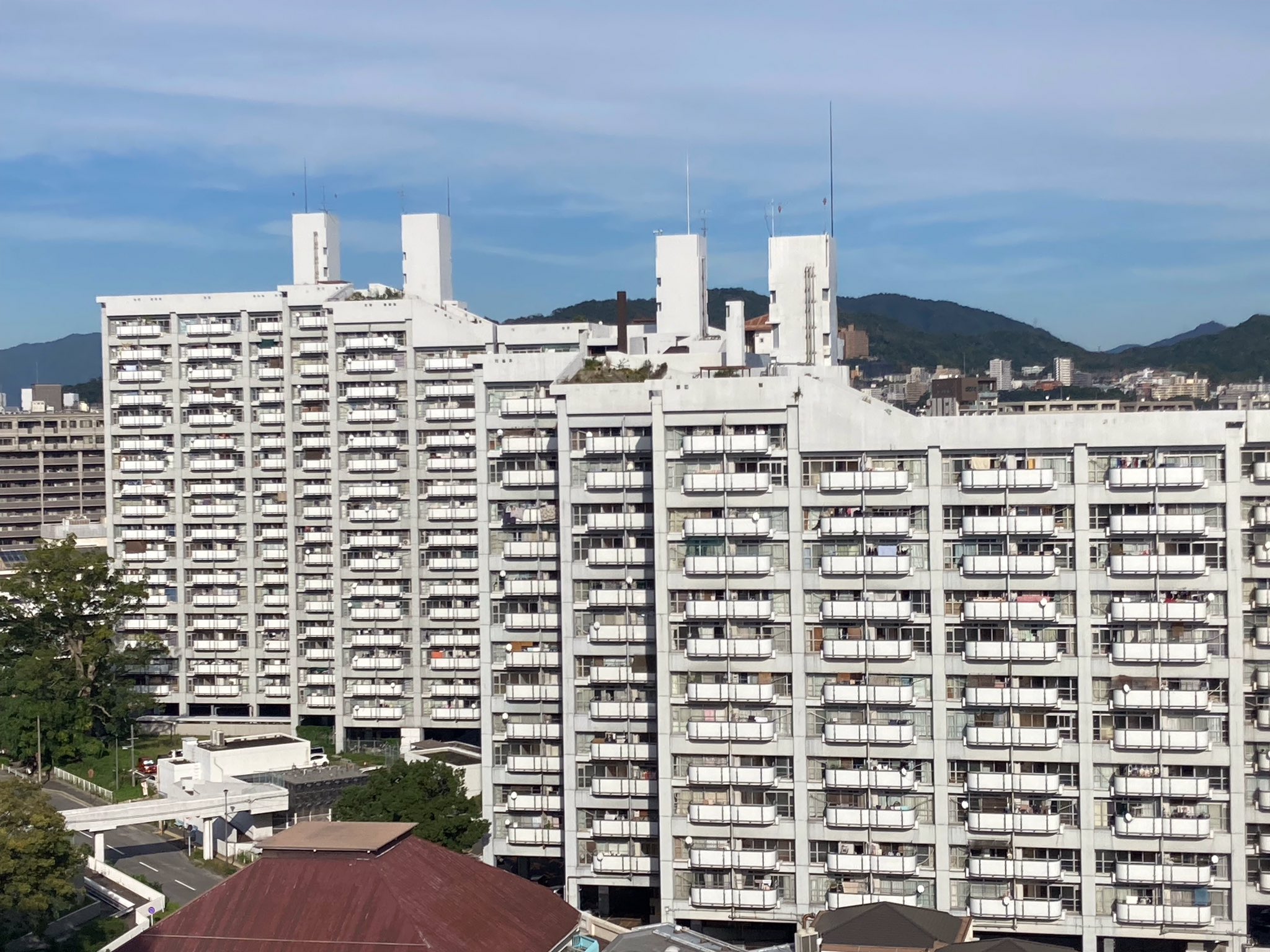 いもりんページ ALL ITEM | ◇熟成干し芋◇りん太郎本舗