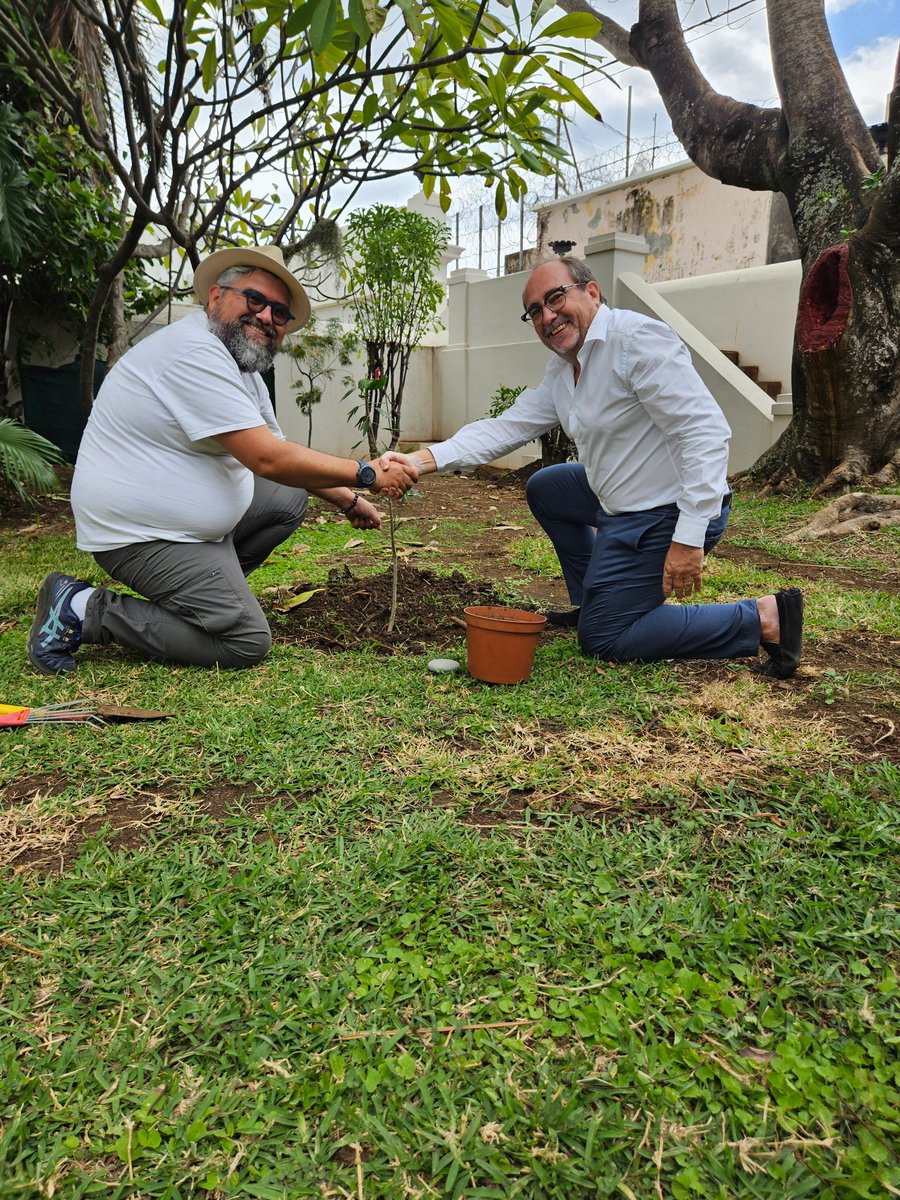 CRCLRM's tweet image. À l’occasion de la Semaine européenne du développement durable, la chambre régionale des comptes de La Réunion met à l’honneur les richesses naturelles qui cohabitent dans le jardin du château Lauratet.