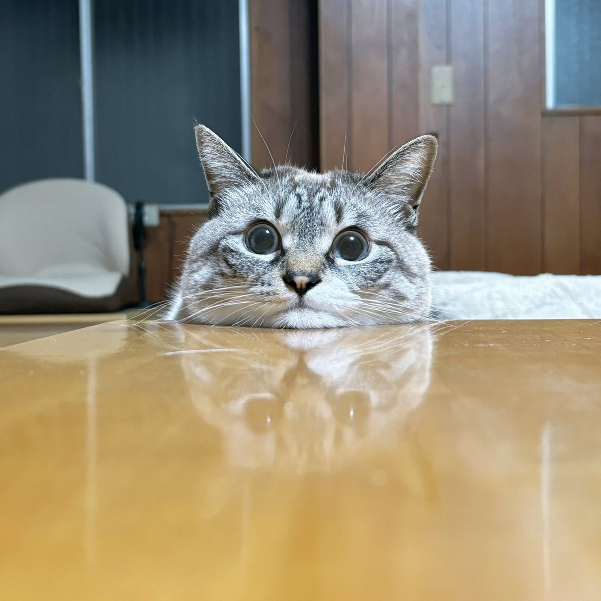 天使👼こめ (@0818kome) / Posts / X