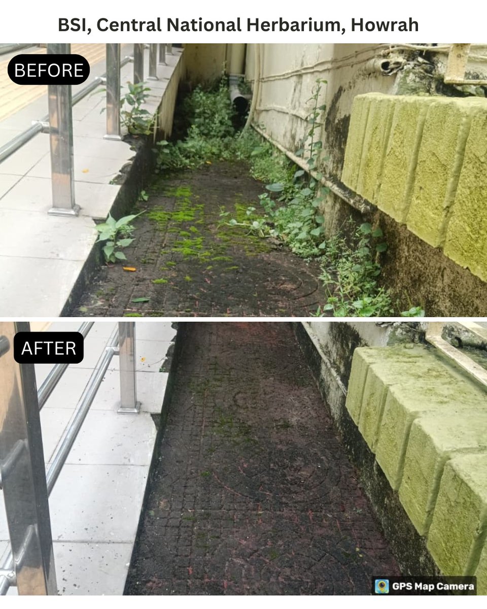 moefcc's tweet image. As part of #SpecialCampaign5.0, Botanical Survey of India, Central National Herbarium, Howrah, under the MoEFCC, conducted a cleanliness drive in the office complex.