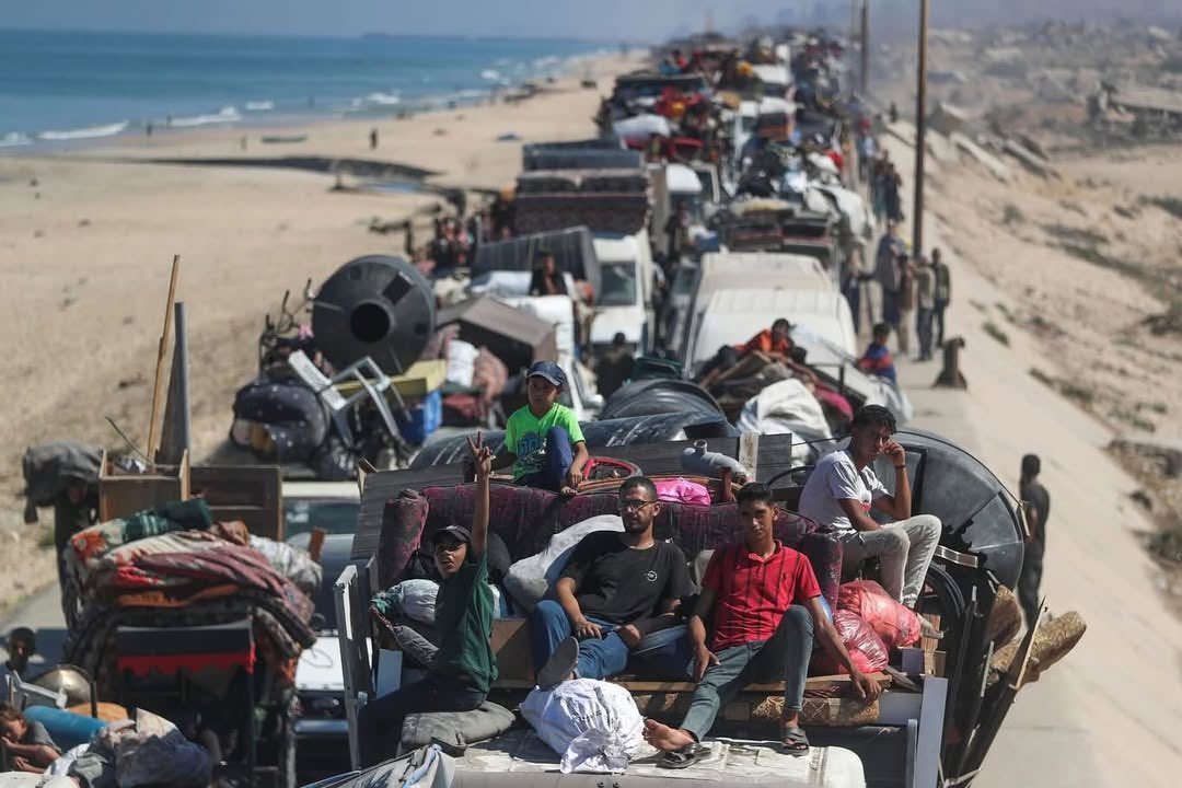 Hamdan Dahdouh tweet media