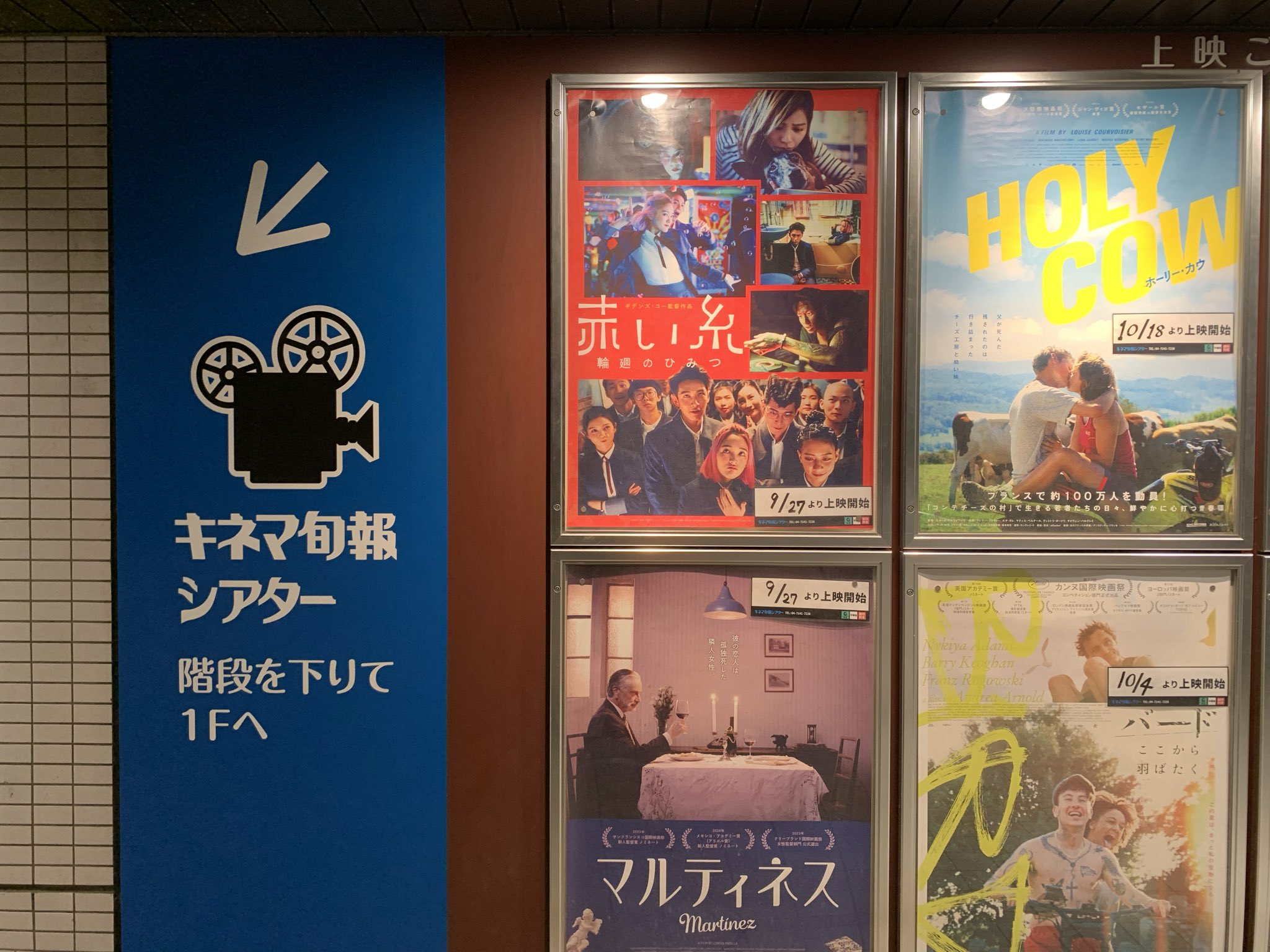 POSTER.01 会長はメイド様 折りたたみピンナップポスター ⚡️お知らせ⚡️】 アニメ『New PANTY & STOCKING with