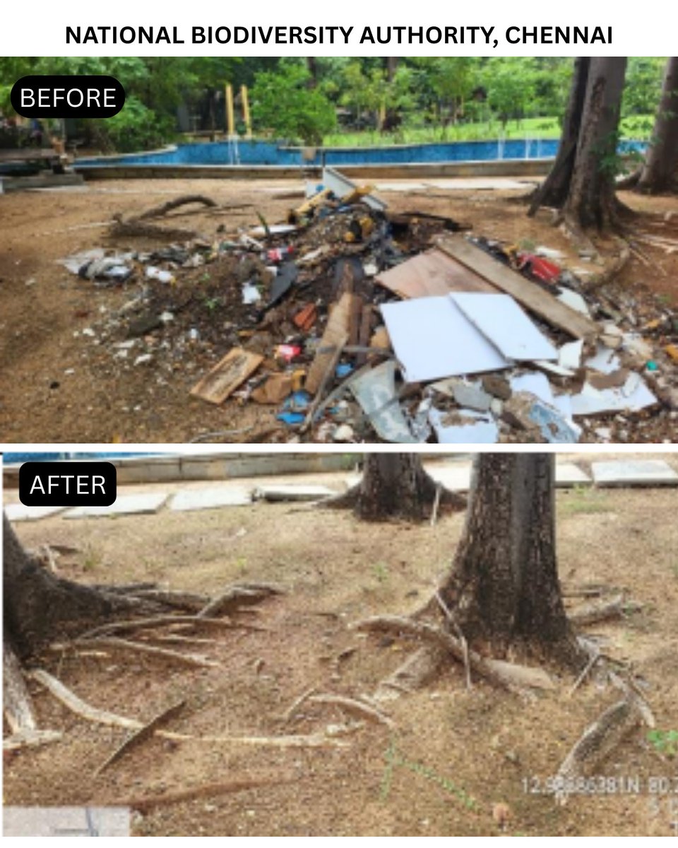moefcc's tweet image. Cleanliness drive was conducted by the National Biodiversity Authority, Chennai, under the MoEFCC, as part of #SpecialCampaign5.0.