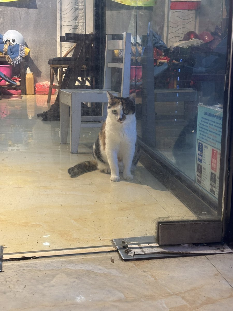 henry🔻 tweet media