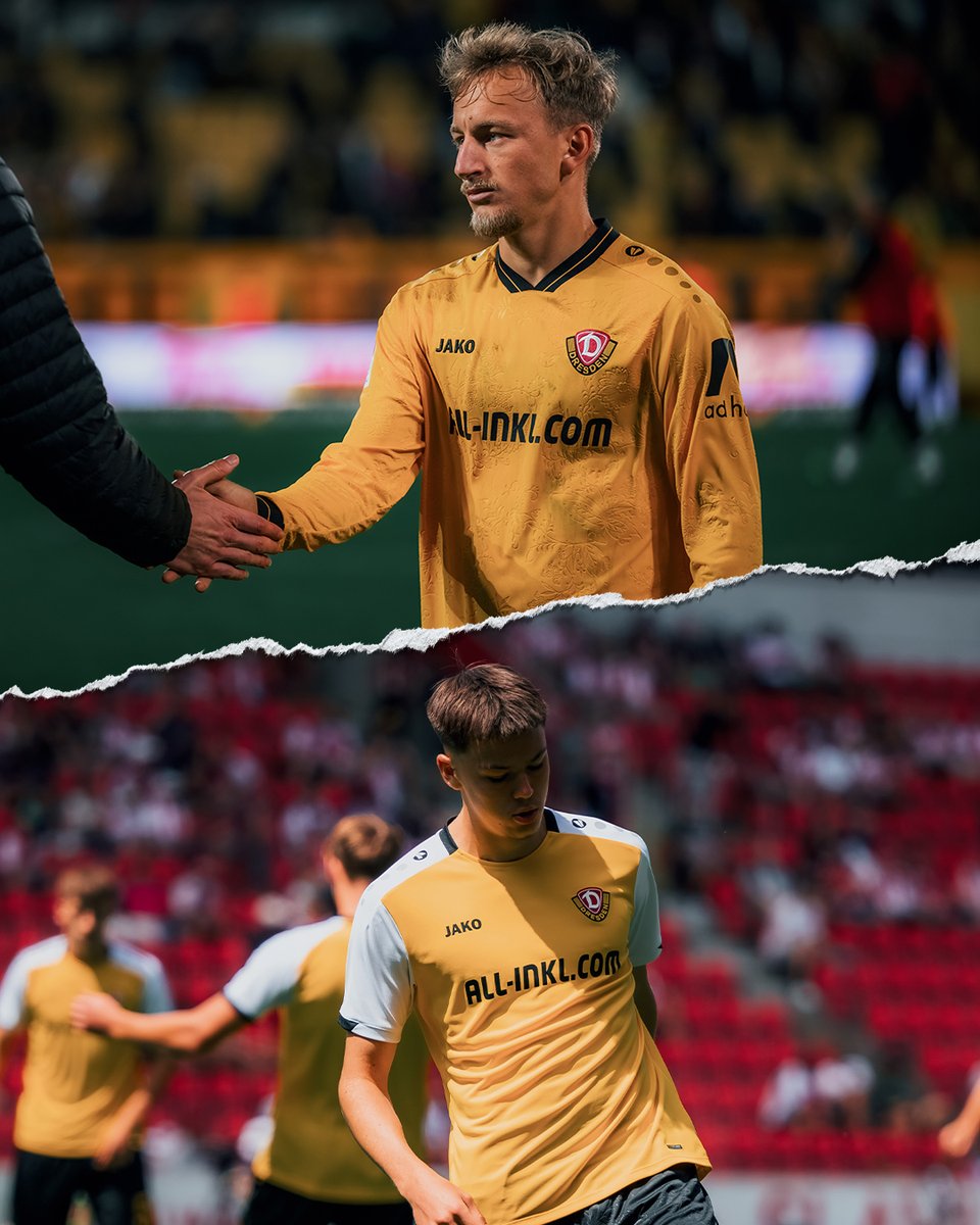 SG Dynamo Dresden tweet media