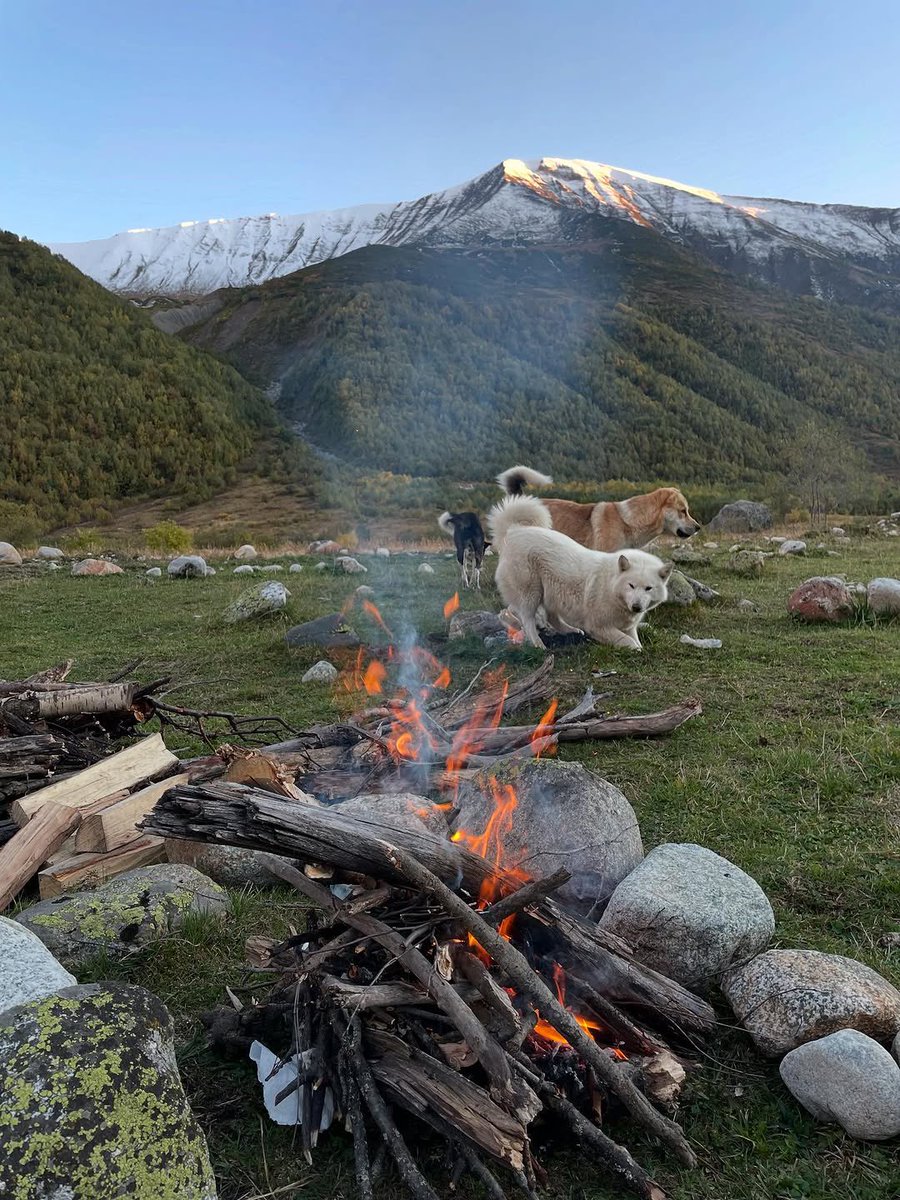 Svaneti waits for you 🏔️🏰🌄
@albertofreschi