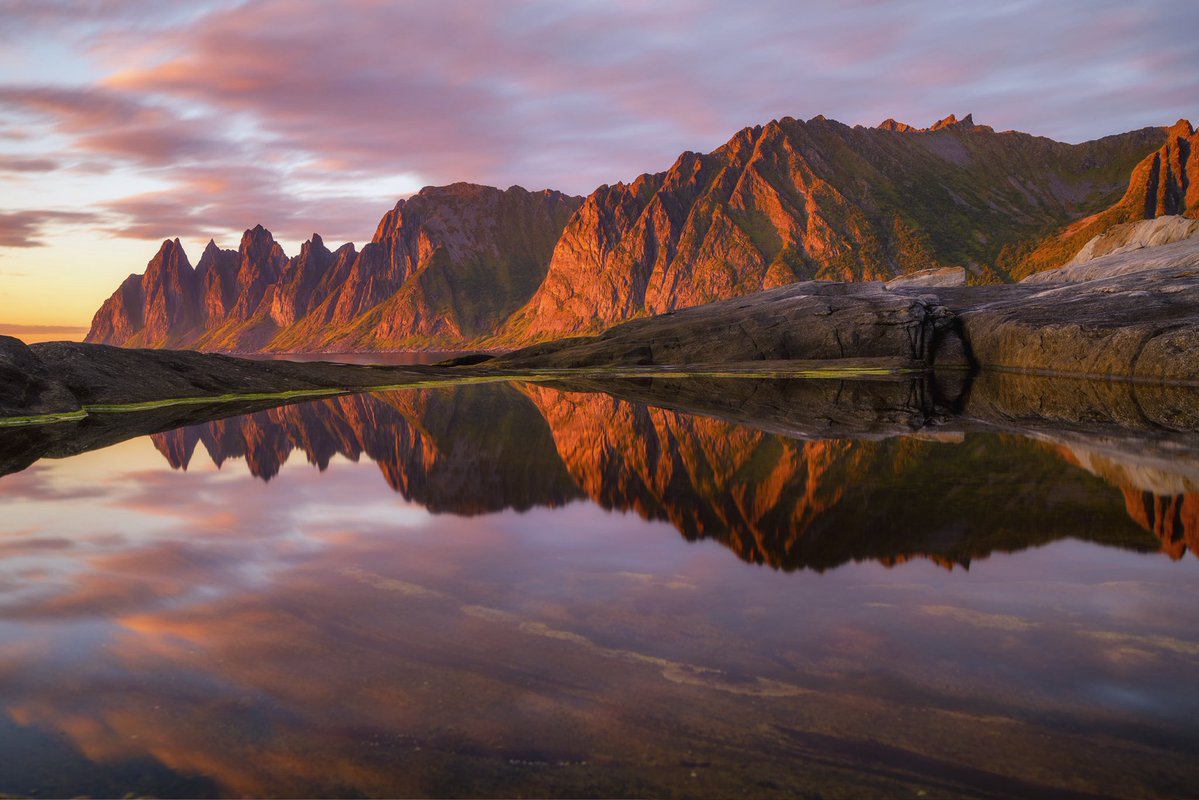 NilayPhotos's tweet image. Tungeneset Senja, Norway 2025

Taken on #Nikon z7ii and ZF

#Norway #photography #Landscape #Aurora