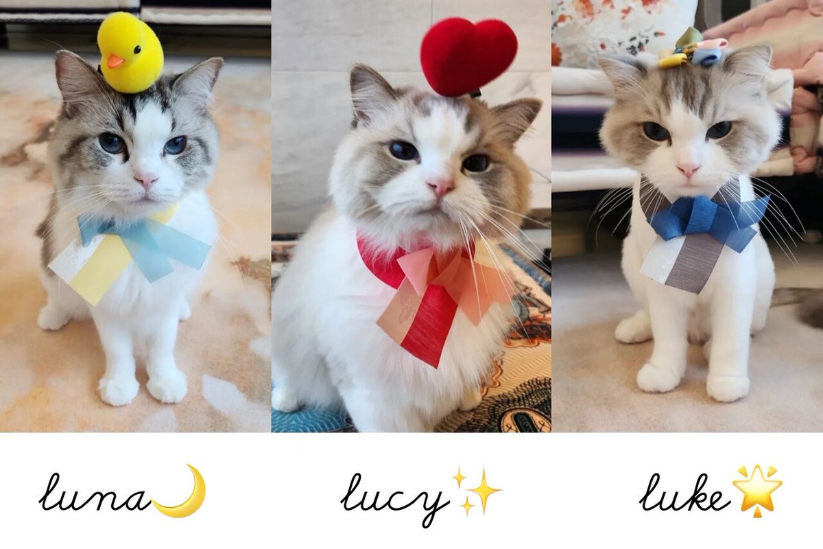 ON || NCT MENFESS tweet media