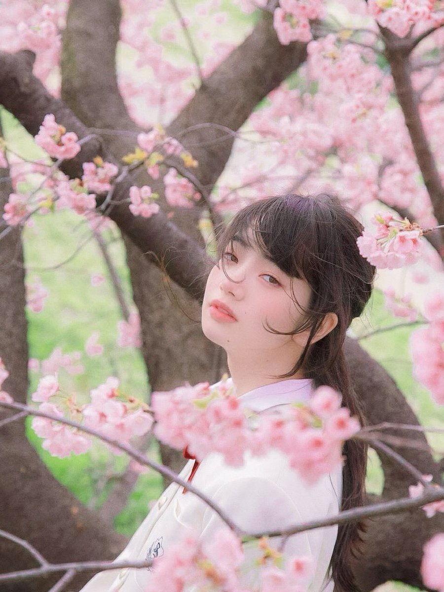 j_chive's tweet photo. Komatsu Nana × Proto Star
고마츠 나나 #小松菜奈 https://t.co/PDJiYYQfgH