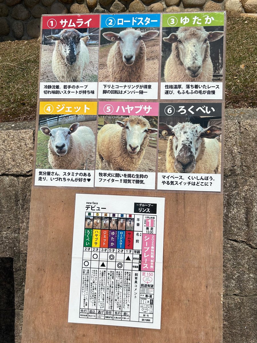 Kmame's tweet image. 「2」周年おめでとう🦜ございます。
六甲山牧場で良い走りを見せてくれていた「2」枠の羊さんです🐑
#カベポヤンタン
