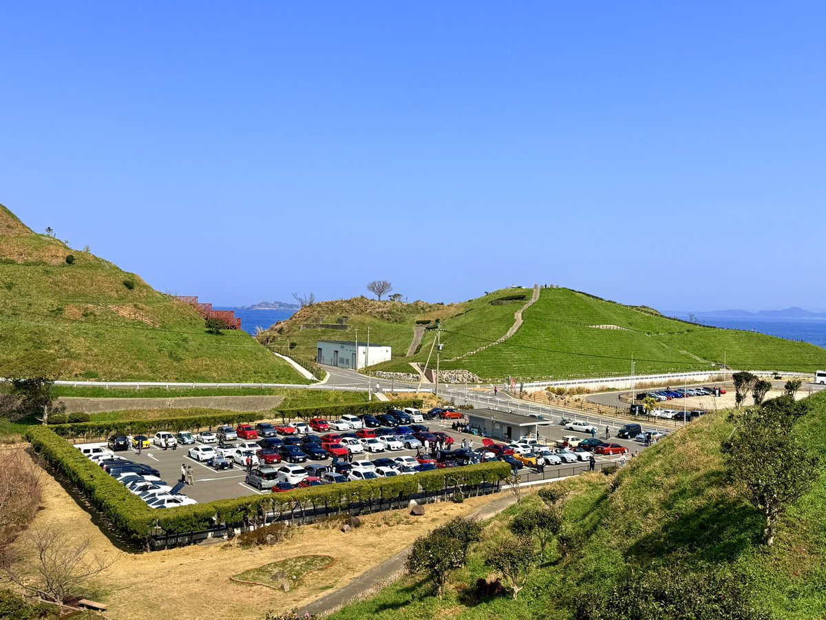 おはようのもざき🦖（おはのも）公式 tweet media