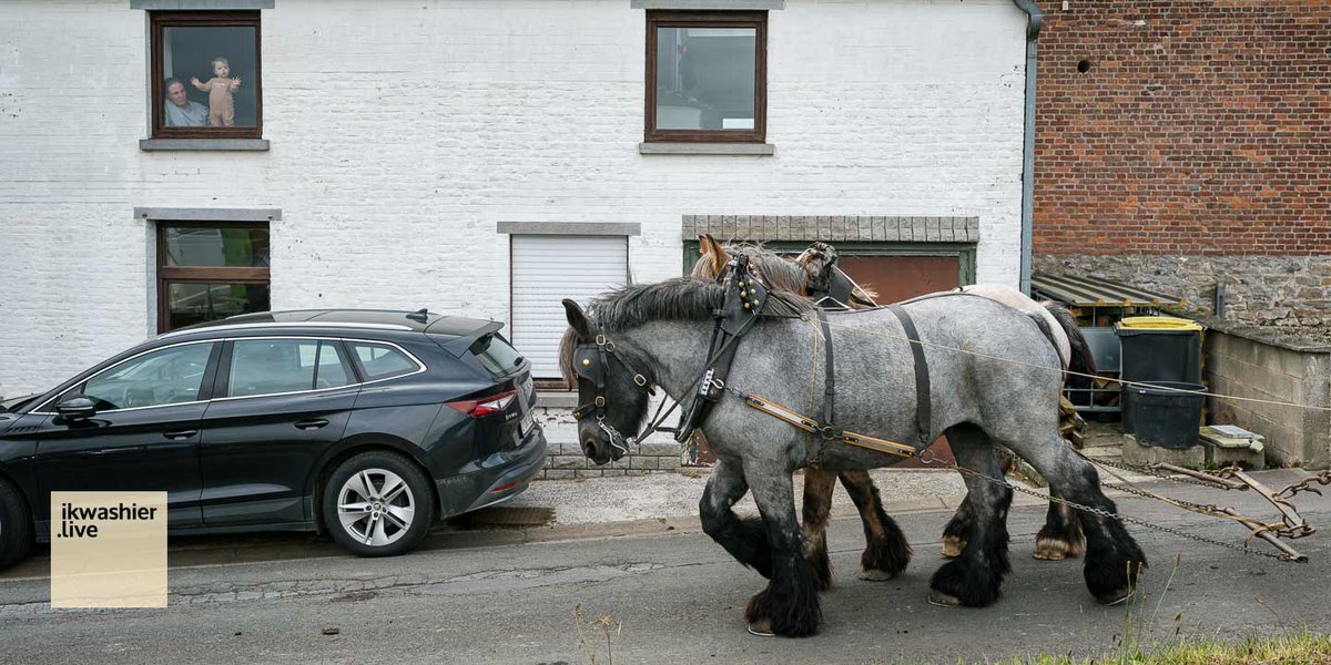 Op youtu.be/N8Qxv6nOn4w vroege Sint-Hubertusvieringen met zegening Belgische trekpaarden, warmbloedpaarden, honden en konijn op Fête de la Saint-Hubert van Ferme du Major. ikwashier.live bewaart #tradities en #erfgoed.
#sinthubertus #levenderfgoed #immaterieelerfgoed