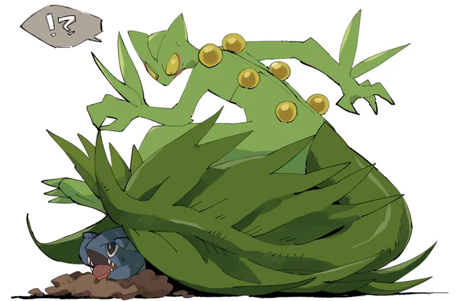 再掲
