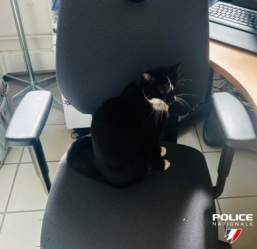 Police nationale 43 tweet media