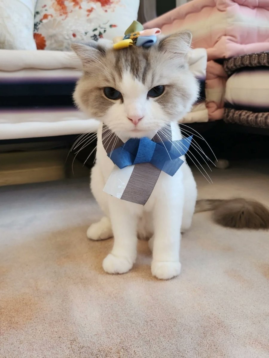 NCTDREAMCENTER's tweet image. 251006 #JAEMIN (Cat) Instagram (2)

#NCTDREAM @NCTsmtown_DREAM