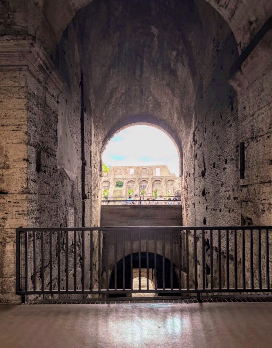 MinervaArmata's tweet image. Forma e sostanza 
#Roma