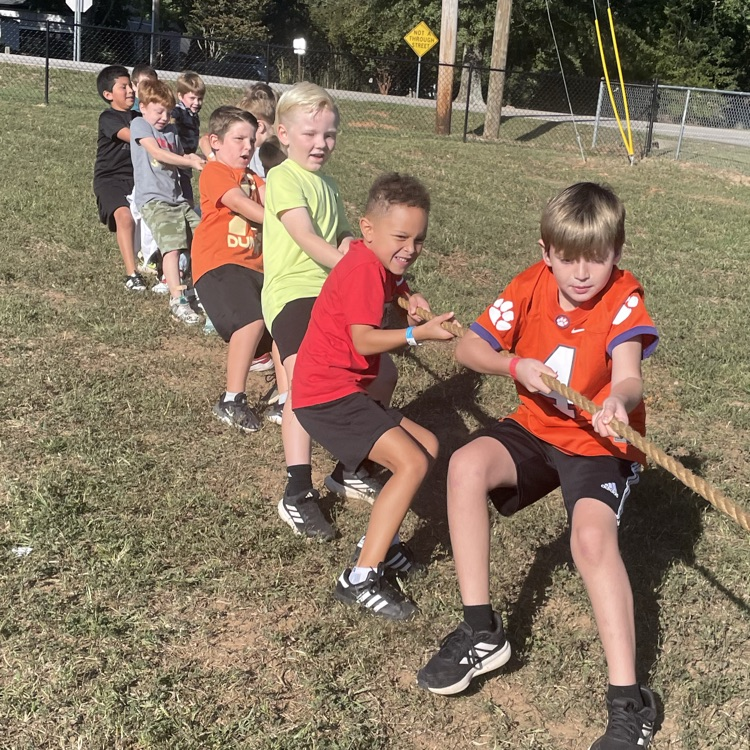 Concrete Primary tweet media