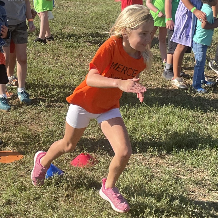 Concrete Primary tweet media