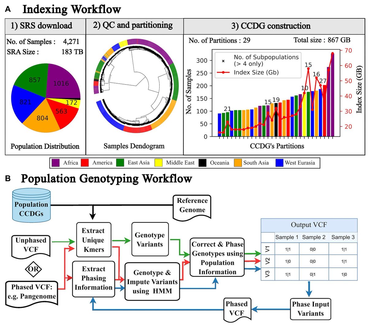 jsantoyo's tweet image. The Great Genotyper: a graph-based method for population genotyping of small and structural variants. #GeneticVariants #StructuralVariants #GenomeGraphs #PopulationGenomics #Genotyping @gigascience
academic.oup.com/gigascience/ar…