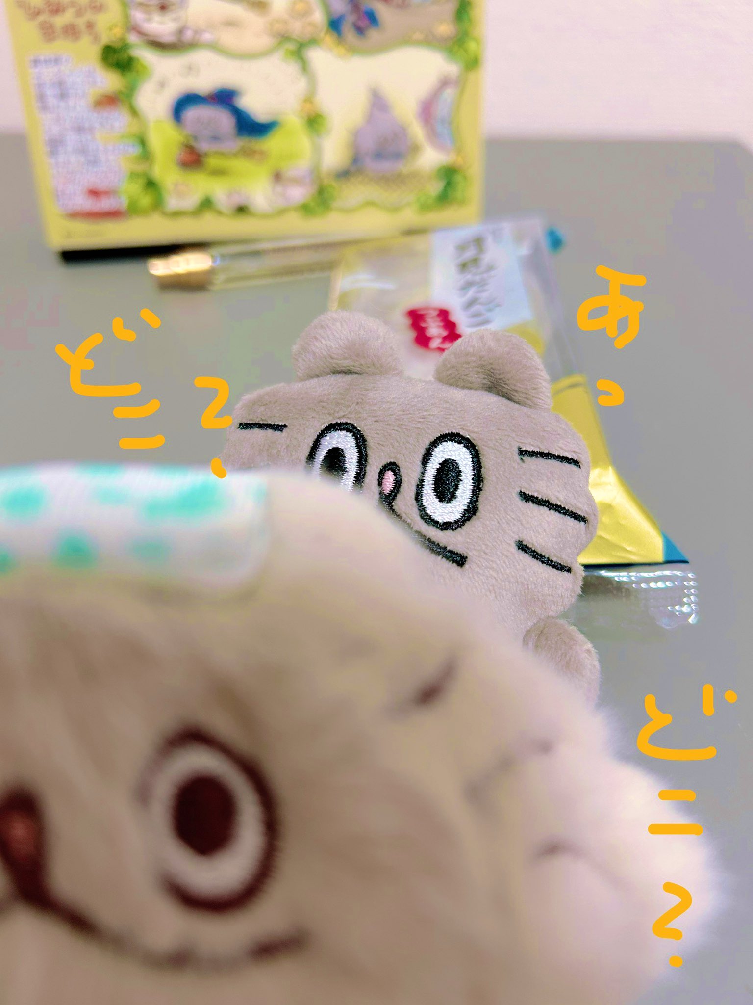 高橋きの 🐟ねこのぶーちゃん♨️ぶ〜の湯ありがとうご