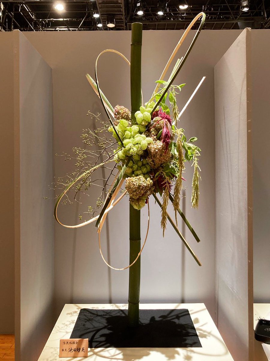 サイン本】烏衣の華 白川 紺子 サイン本】烏衣の華 白川