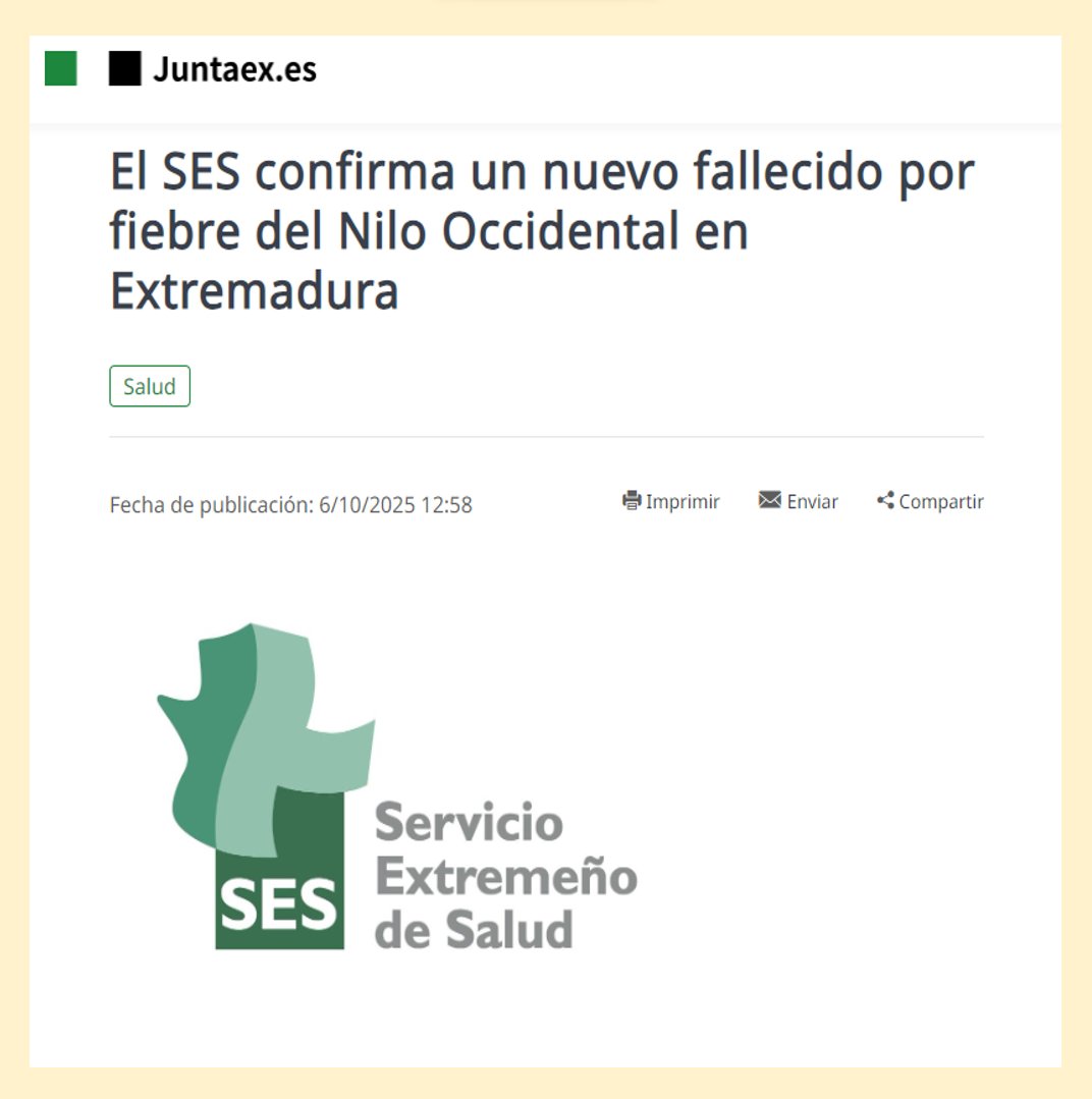 MOSQUITOS – CASOS DE FIEBRE DEL NILO OCCIDENTAL – FALLECIMIENTO - EXTREMADURA

👉Más información y recomendaciones frente a mosquitos en:
juntaex.es/w/el-ses-confi…