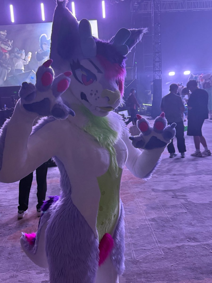 小猫咪游色 tweet media