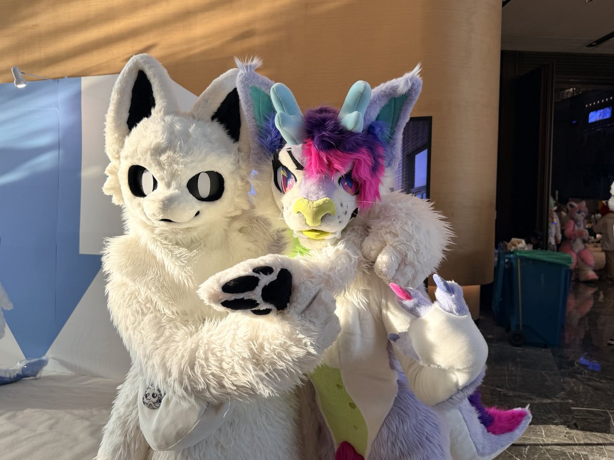 小猫咪游色 tweet media