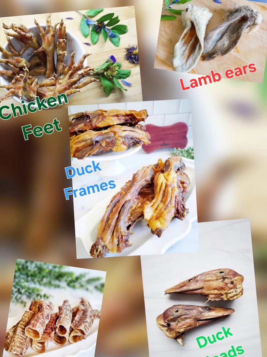 🦴 Welcome to the Raw Bar — Where Real Treats Rule! 🐾

Looking for something wildly natural, totally nutritious, and absolutely drool-worthy?
You’ve just found it — welcome to the Raw Bar — home of our no-nonsense, all-natural treats your pets were born to devour.