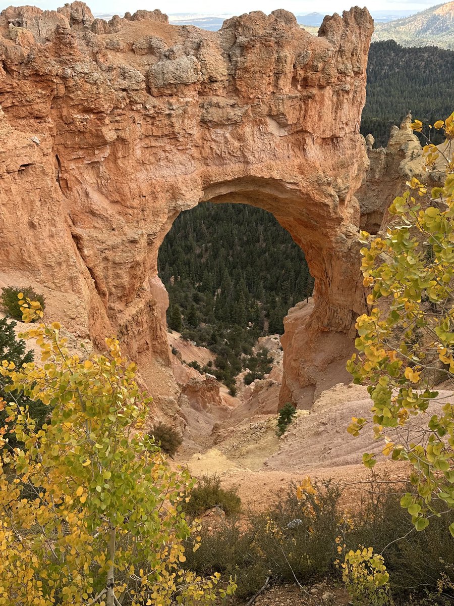 Momma_Nla's tweet photo. Bryce Canyon National Park, Utah https://t.co/ZtxCB5mB8l