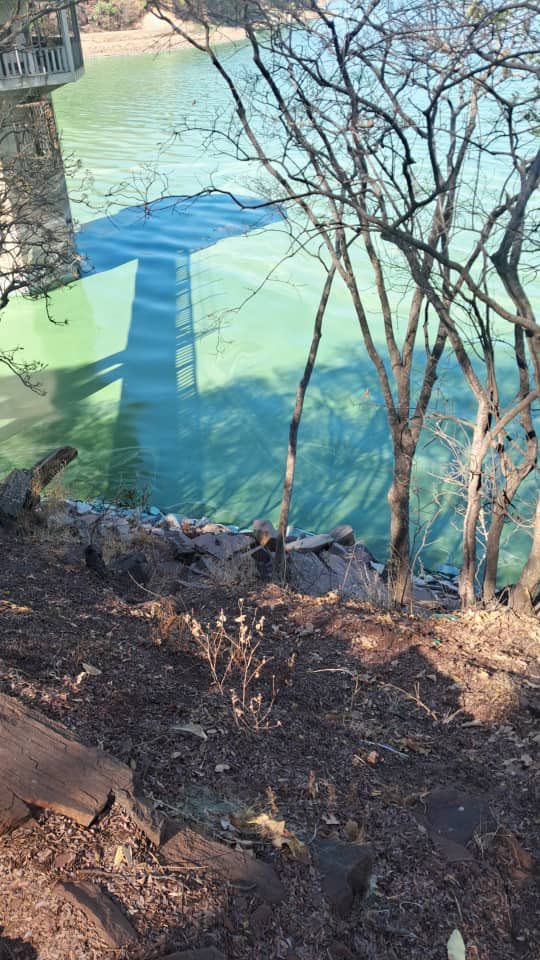 Save Lake Chivero Campaign tweet media