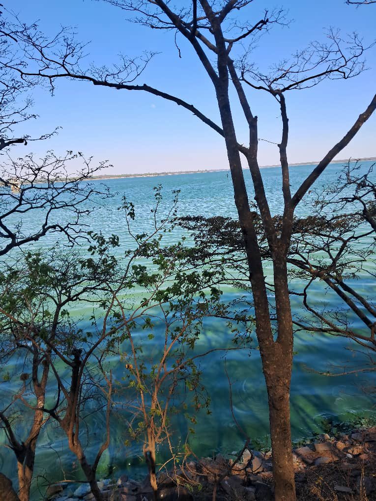 Save Lake Chivero Campaign tweet media