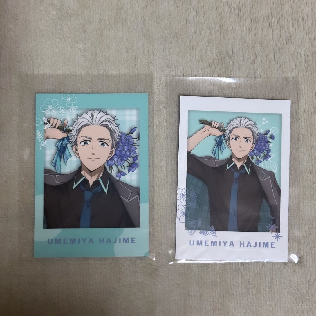 WIND BREAKER ウィンブレ 
Flower Gift Collection トレーディングカード トレカ 交換 譲渡

【譲】梅宮
【求】定価＋送料または桜

検索からもお気軽にお声掛けください