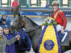 HORSERACING1002's tweet photo. NOWNOWNOW🇺🇸2005
(WHYWHYWHY  ▪︎ HERE AND NOW BY EXIT TO NOWHERE)
#Nownownow
B/ Fab Oak Stable (Ky) April 20, 2005
O/ Kona Stable 
T/ Patrick L. Biancone
KEENOV $130,000
ELSMIX $8,000
22-3-4-4---$912,029
Breeder's Cup Juvenile Turf, San Fernando S G2, With Anticipation S
2nd Red Bank S G3, Woodford Reserve Bourbon S, 
3rd Mervyn Muniz Jr. Memorial H G2, San Pasqual H G2. 
Stood Fab Oak, Jerry Cart Farm, Holly Hill Farm
Sired Lil Ashley B, Nownowdancer, Chief Now Now, Kasens Tribe, Savannahs Here, Big Roux