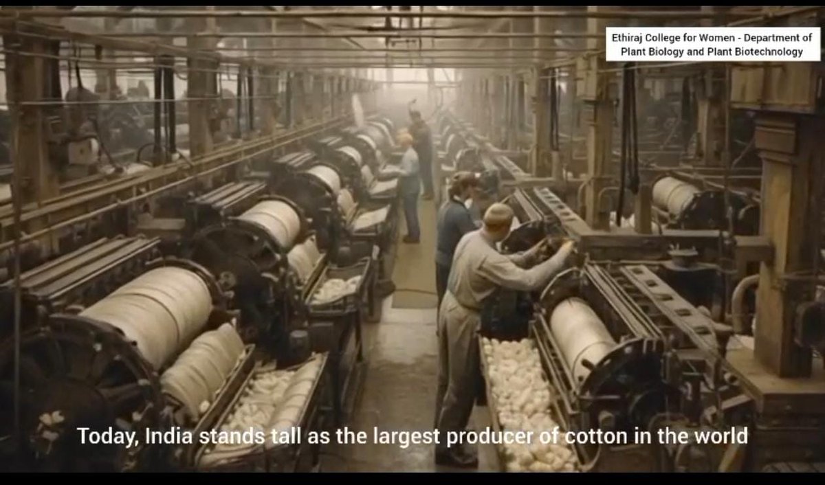 🌿 Celebrating #WorldCottonDay! 🌱 Ethiraj College for Women launches a special video honoring cotton’s legacy in sustainability, resilience, and community impact. Watch here: youtu.be/6FdWyl_mO7U
<a href="/mike_vmm/">Mike Muralidharan</a>
#CottonForLife #Sustainability #WomenInScience #EthirajCollege