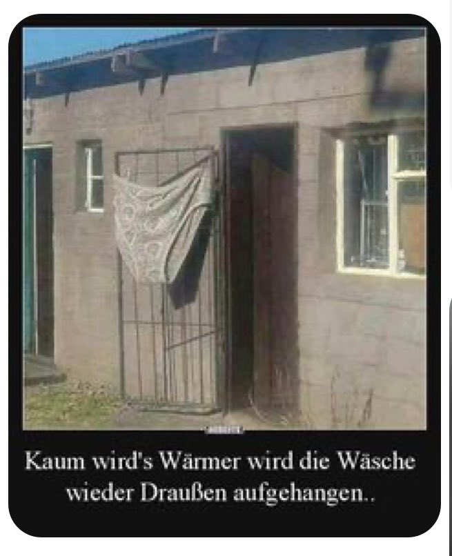 hedyundolaf 🇩🇪 tweet media