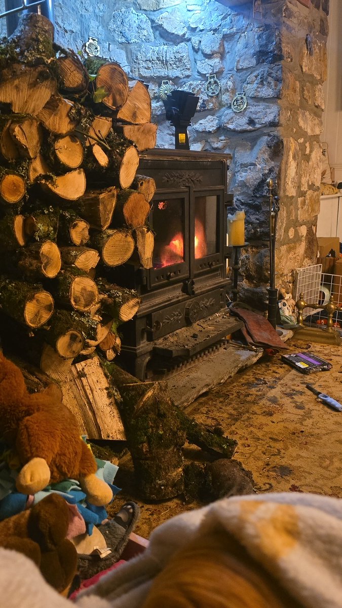Pig snuggles and fire going ❤️