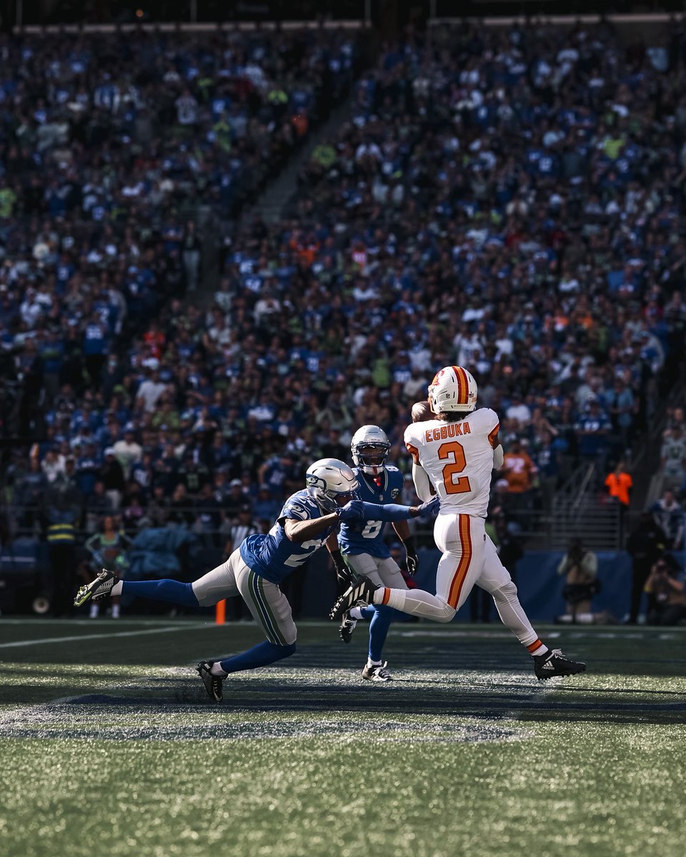 SaltyBuc91's tweet image. INCREDIBLE photo 🖼️