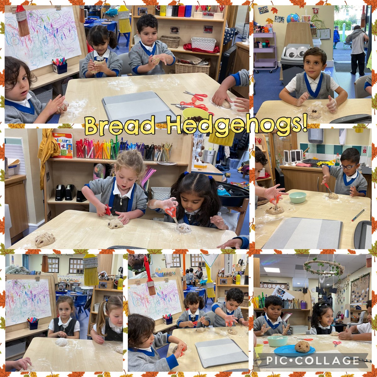 Beech House at Bolton School Primary Division tweet media