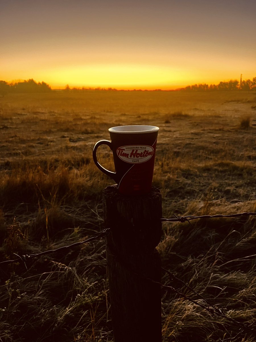Roblaird681344's tweet image. Monday morning Canadian Coffee on Gladys Ridge Alberta Canada 😀☕️🇨🇦