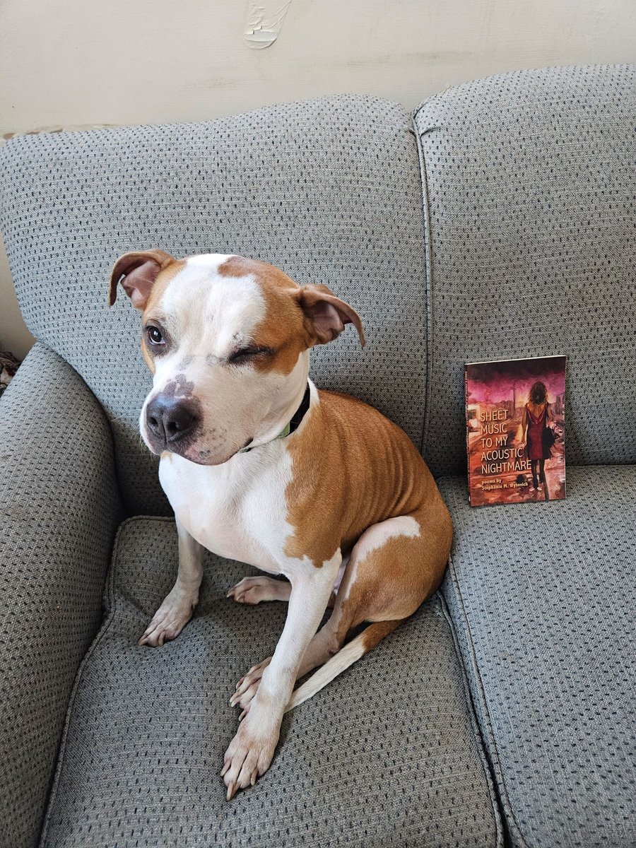 We're running a sale on the website. Get 25% off your order. One of the books we have in stock is Sheet Music to My Acoustic Nightmare by <a href="/SWytovich/">Stephanie M Wytovich: Updates Only⚰️</a>, which comes highly recommended by the dog. 
carpelibrumbaltimore.com/products/sheet…